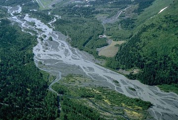 A braided river